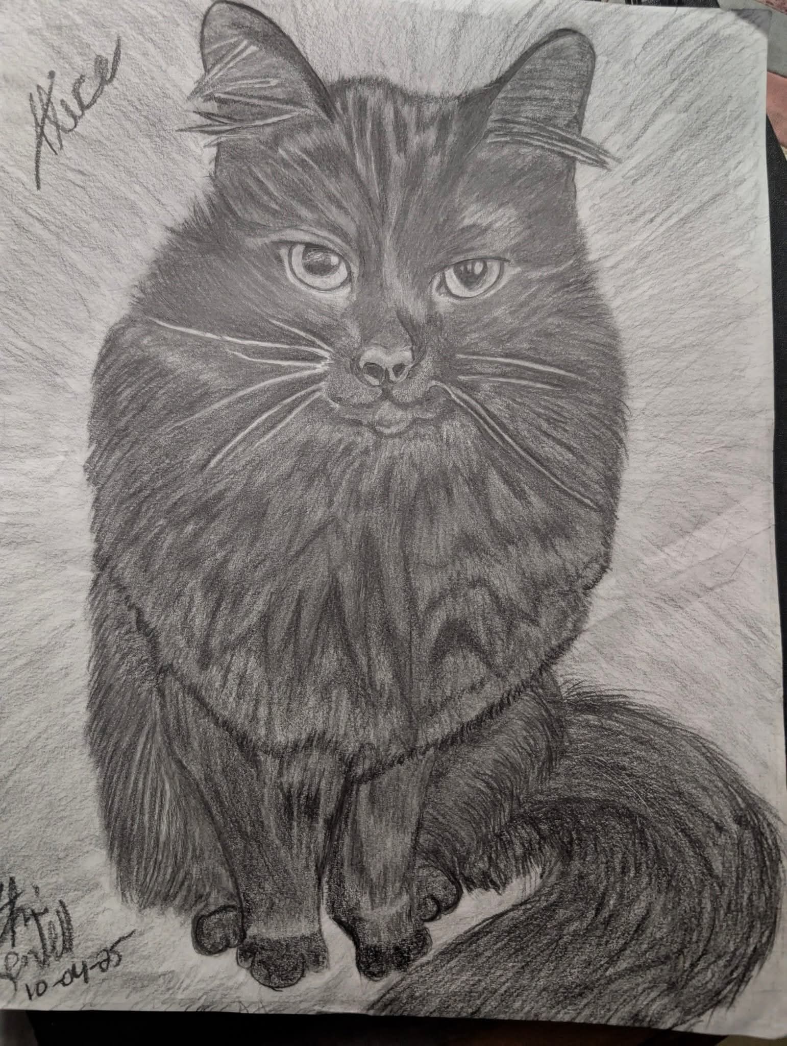 Alice the Cat